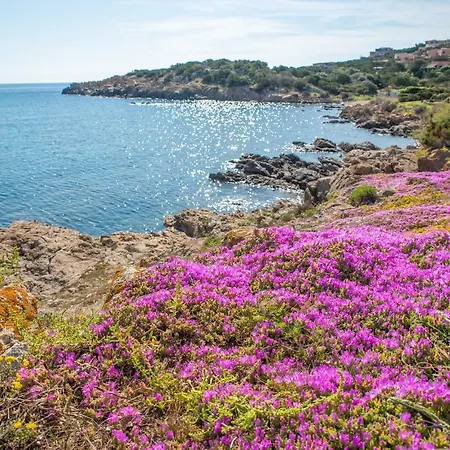 Trilocale2 Stanze Lettoh12 * Porto Cervo